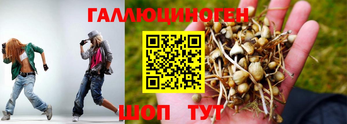 Галлюциногенные грибы мухоморы Нижневартовск